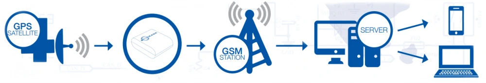 BI 310 CICADA image 2