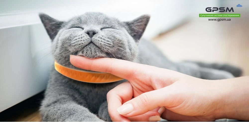 Умный GPS-ошейник EV-202 изображение 7