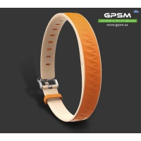 Умный GPS-ошейник EV-202