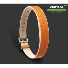 Умный GPS-ошейник EV-202 Умный GPS-ошейник EV-202