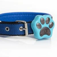 GPS ошейник V33